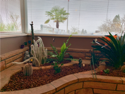 The terrarium in the living room