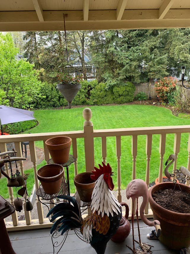 Backyard view